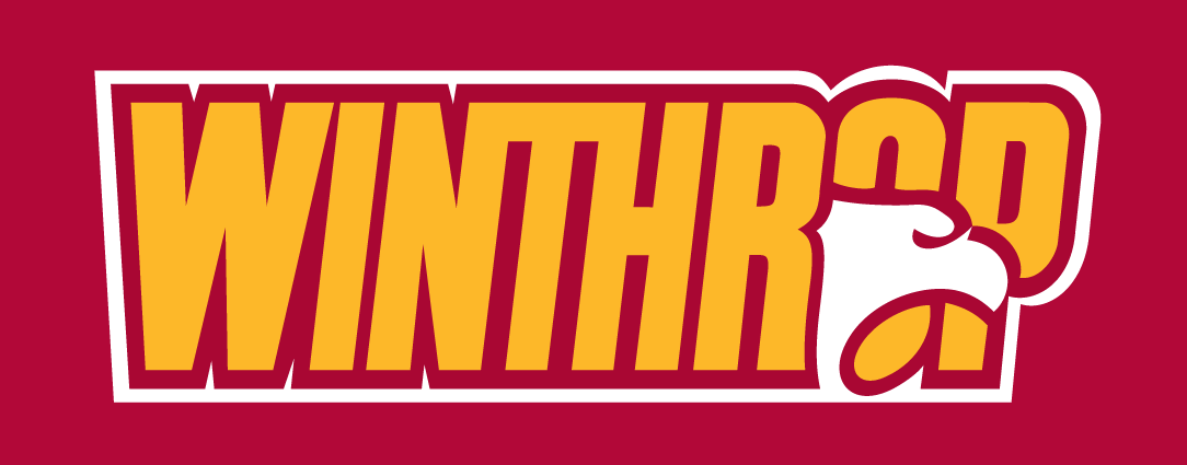 Winthrop Eagles 1995-Pres Wordmark Logo v4 DIY iron on transfer (heat transfer)